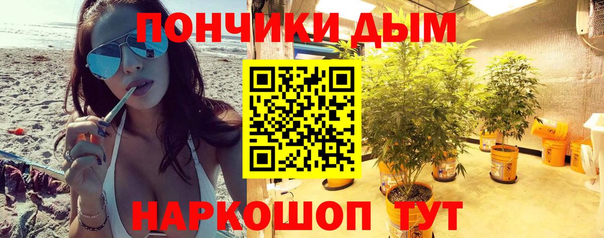 Каннабис планчик  Шишки марихуана планчик  Шишки марихуана конопля  Бошки Шишки Bruce Banner  Изобильный  Вход с VPN 